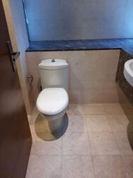 Residences @ Evelyn (D11), Condominium #437993921